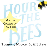 Hour of the Bees Square